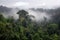 amazons rainforest, with misty clouds in the air and dense forest below