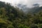 amazons rainforest, with misty clouds in the air and dense forest below
