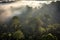 amazons rainforest, viewed from above, with misty clouds and sunlight filtering through