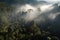 amazons rainforest, viewed from above, with misty clouds and sunlight filtering through