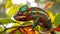 Ambanja Panther Chameleon Furcifer pardalis. Generative Ai