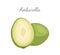 Ambarella Exotic Juicy Fruit Vector Isolated Icon