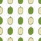 Ambarella Fruit. Seamless Vector Patterns