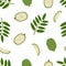 Ambarella Fruit. Seamless Vector Patterns