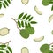 Ambarella Fruit. Seamless Vector Patterns