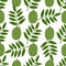 Ambarella Fruit. Seamless Vector Patterns