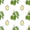 Ambarella Fruit. Seamless Vector Patterns