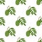 Ambarella Fruit. Seamless Vector Patterns