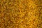 Amber background texture pattern wall