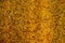 Amber background texture pattern wall