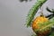 Amber ball on the Christmas tree on a white background. gemstone amber shimmers in the light. orange light. Christmas decorations