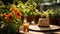 Amber Candle Vase Illuminates a Sunlit Garden Amidst Tomato Plants and Basil