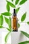 Amber cosmetic bottle with pipette on white podium, product packaging with natural branch, anti aging serum with