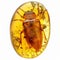 Amber Crystal Isolated, Golden Amber Pebble on White