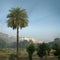 Amber fort. View from afar with palm trees