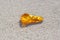 Amber with inclusions on sand