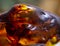 .amber, mineral specimen stone rock geology gem crystal