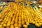 Amber prayer beads in the market