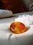 An amber quartz stone sitting atop a fluffy cushion surrounded by a circle of white quartz. AI generation