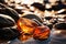 Amber on sand on the beach in sunshine