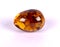 An amber stone-fossilized tree resin