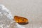 Amber stone with insect inclusion