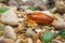 Amber stone. Mineral amber. Rosin yellow amber. Sunstone on a beach of pebbles.