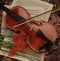 Ambience shot of a violin, bow and orange flowers