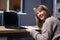 Ambitious freelance girl sitting at home with laptop and looking side, in distance, smiling. Woman working on computer in living