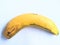 An Ambon banana