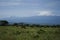 Amboseli - Big Five Safari -Kilimanjaro African bush elephant Loxodonta africana