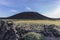 Amboy Crater Volcanic Mountain with Spring Blooms