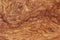 amboyna wood exotic burl strip wallpaper background