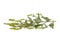 Ambrosia artemisiifolia, known as common ragweed