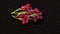 Amelanchier berries with water drops on a black background. Loop motion.