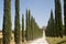 Amelia (Umbria, Italy) - Old villa and cypresses