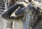 Amenano Fountain detail, Piazza del Duomo, Catania