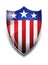 America, USA Shield, Icon with American Flag