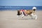 American akita dog playing on a beach