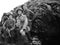 American allied soldiers in trench uniforms fight German enemies along the Gothic Line in a historical reenactment