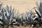 American aloe Agave americana as field fence.