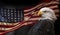 American Bald Eagle with Flag.