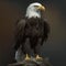 American bald eagle full body detail portrait, side view.