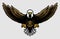 American Bald Eagle with Open Wings and Claws in Cartoon Style