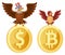 American Bald eagle sits on the dollar symbol, and sparrow