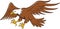 American Bald Eagle Swooping Cartoon