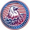 American Bald Eagle USA Natioal Symbol Fourth July Emblem Head