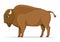 American bison animal on a white background