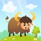 American bison cartoon character. Large bison male flat vector isolated on white. Buffalo icon. Animal illustration