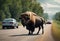 An American Bison crossing a highway with several cars and a large truck driving past